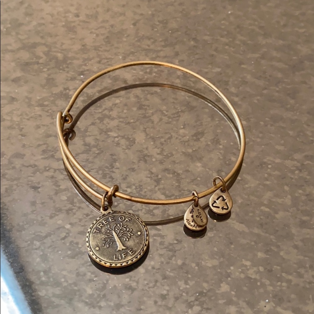 Alex and Ani Bracelet